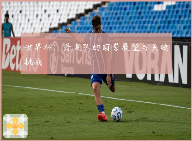 世界杯：丹麦队的前景展望与关键挑战