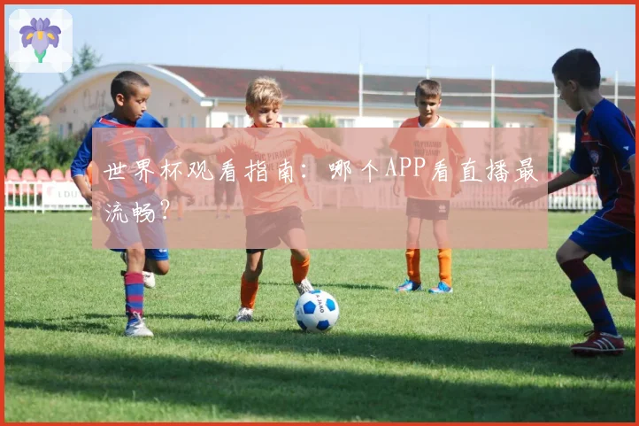 世界杯观看指南：哪个APP看直播最流畅？