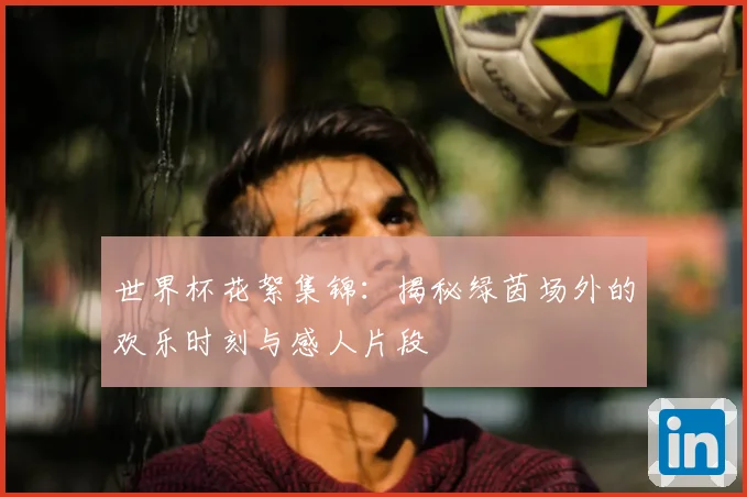 世界杯花絮集锦：揭秘绿茵场外的欢乐时刻与感人片段