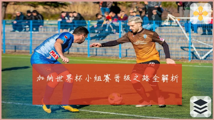 加纳世界杯小组赛晋级之路全解析