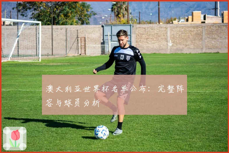 澳大利亚世界杯名单公布：完整阵容与球员分析