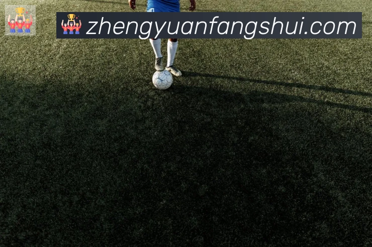 华体育app官网登录入口平台生态图