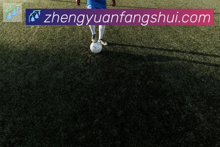 华体育app官网登录入口品牌故事