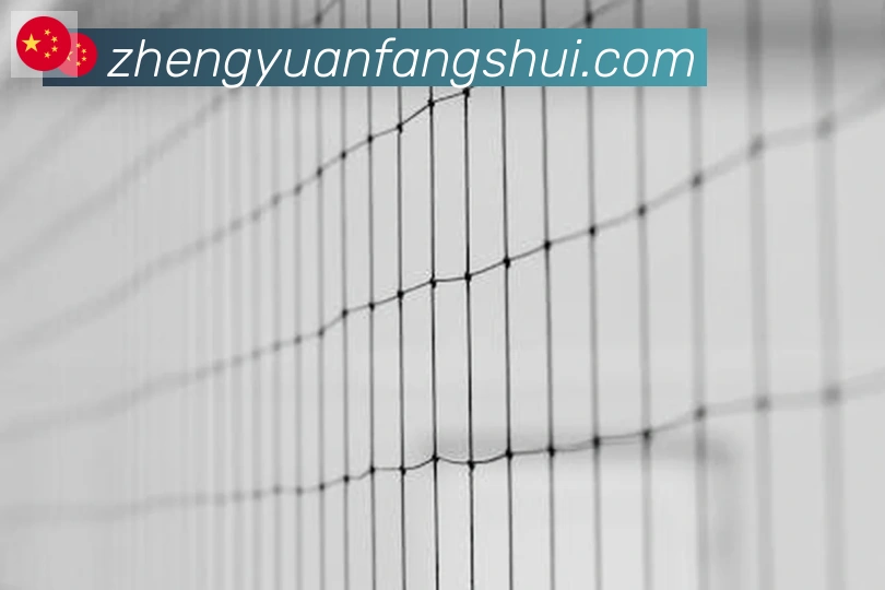 华体育app官网登录入口荣誉