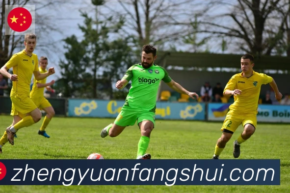 华体育app官网登录入口荣誉