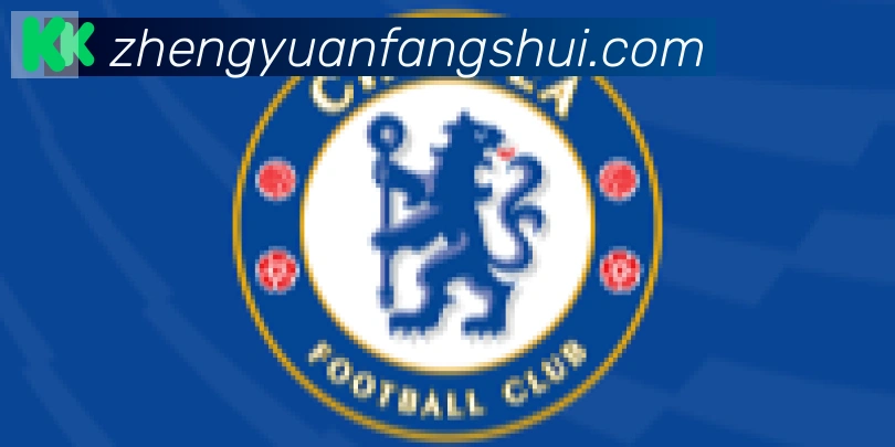 华体育app官网登录入口合作伙伴